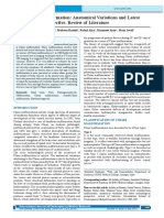 Arnold-chiari Malformation Anatomical Variations and Latest Embryological Perspective Review of Literature