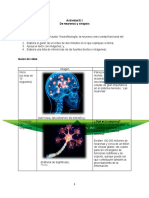 Neuronas y Sinapsis