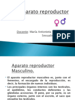Aparato Reproductor Femenino y Masculino