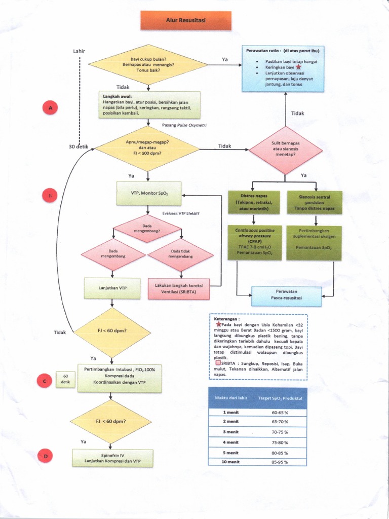 Alur Resusitasi | PDF