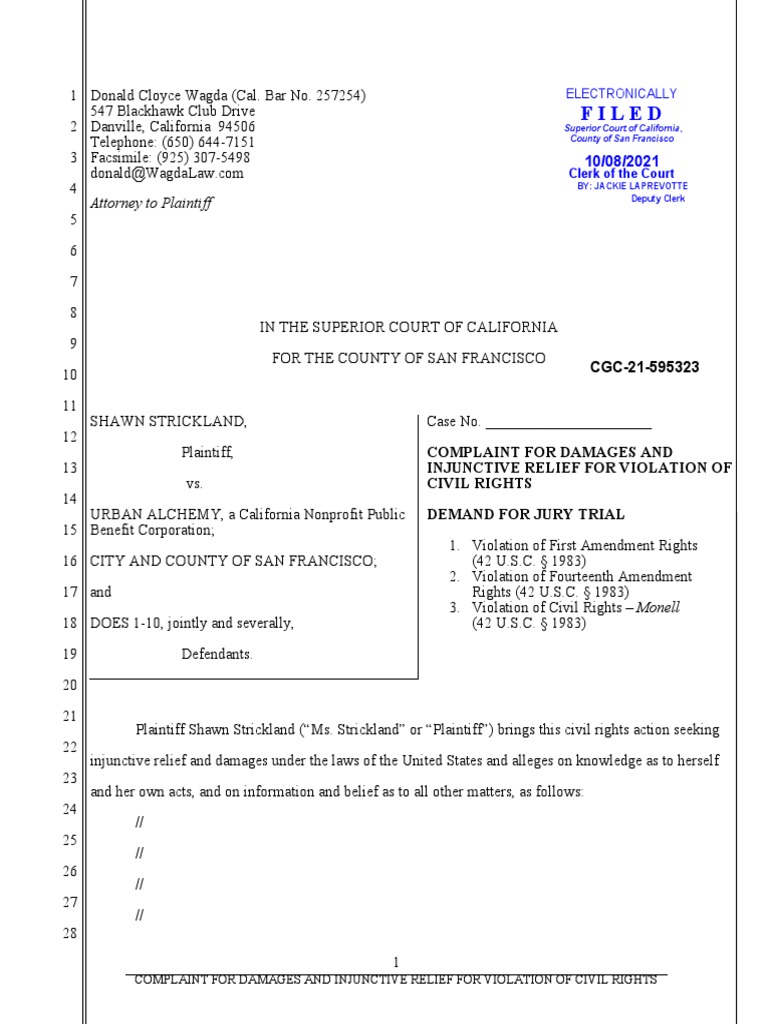 Civil Rights Violation Complaint | PDF | First Amendment To The United ...