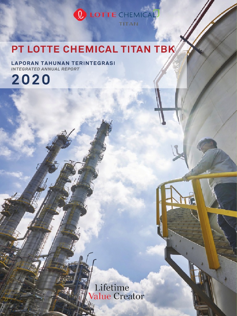 Integrated Annual Report 2020 Pdf Economies Business