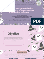 Aplomos en Ganado Bovino de Carne y Su Importancia en El Desarrollo Funcional