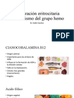 Anemia y Dinamica Del Hierro