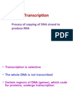 Transcription: Process of Copying of DNA Strand To Produce RNA