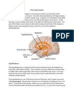 The Limbic System