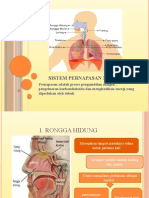 SISTEM PERNAPASAN MANUSIA