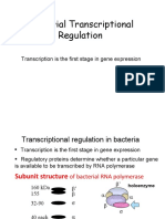 Bacterial Transcriptional Regulation: Transcription Is The First Stage in Gene Expression