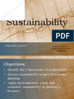 Sustainability: Strategic Choice