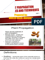 Plant - Propagation - Strategies - and - Techniques - PPTX Filename UTF-8''Plant Propagation Strategies and Techniques