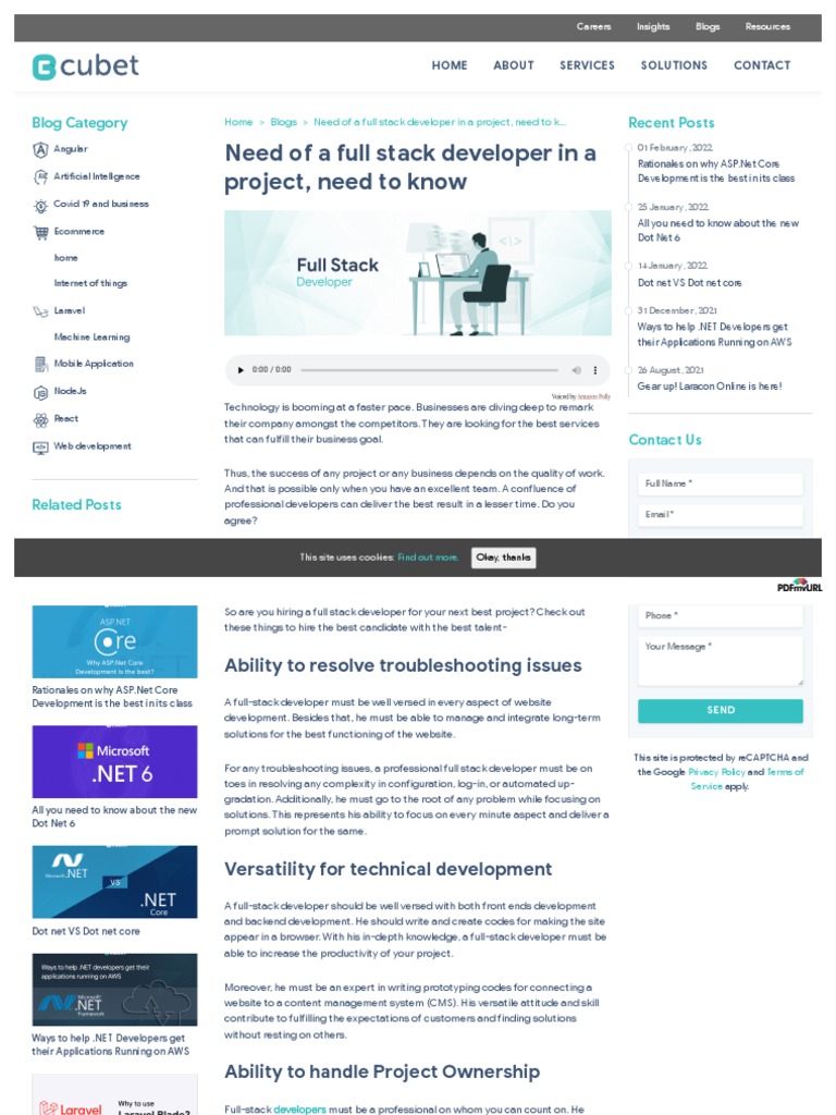 Essential Guide to Hiring Full Stack Developers | PDF | Web Application ...