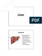Liver Anatomy and Physiology Guide