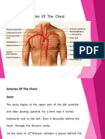 Lect. 7 Arteries of The Chest