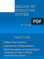 Reproduction System Physiology