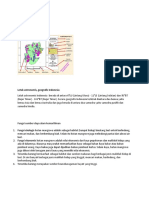 Materi us ips