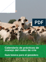 02 Calendario de Practicas de Manejo Del Rodeo de Cria
