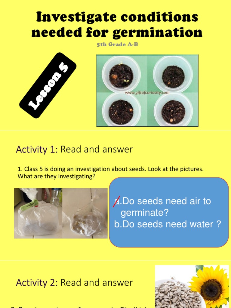 Lesson 5 Investigate Conditions Needed For Germination PDF Seed Germination