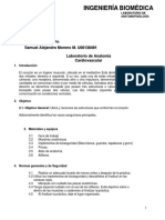 Guia de Laboratorio Anatomía Cardiovascular Entregable