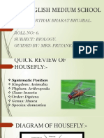 Quick biology review of the housefly lifecycle