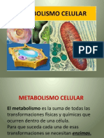 Metabolismo Celular 4to. 2014