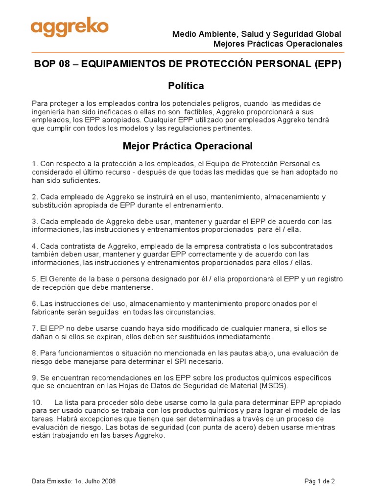 BOP 08 Personal Protective Equipment (PPE) Español | PDF