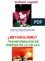 Metabolismo La Esencia de La Vida