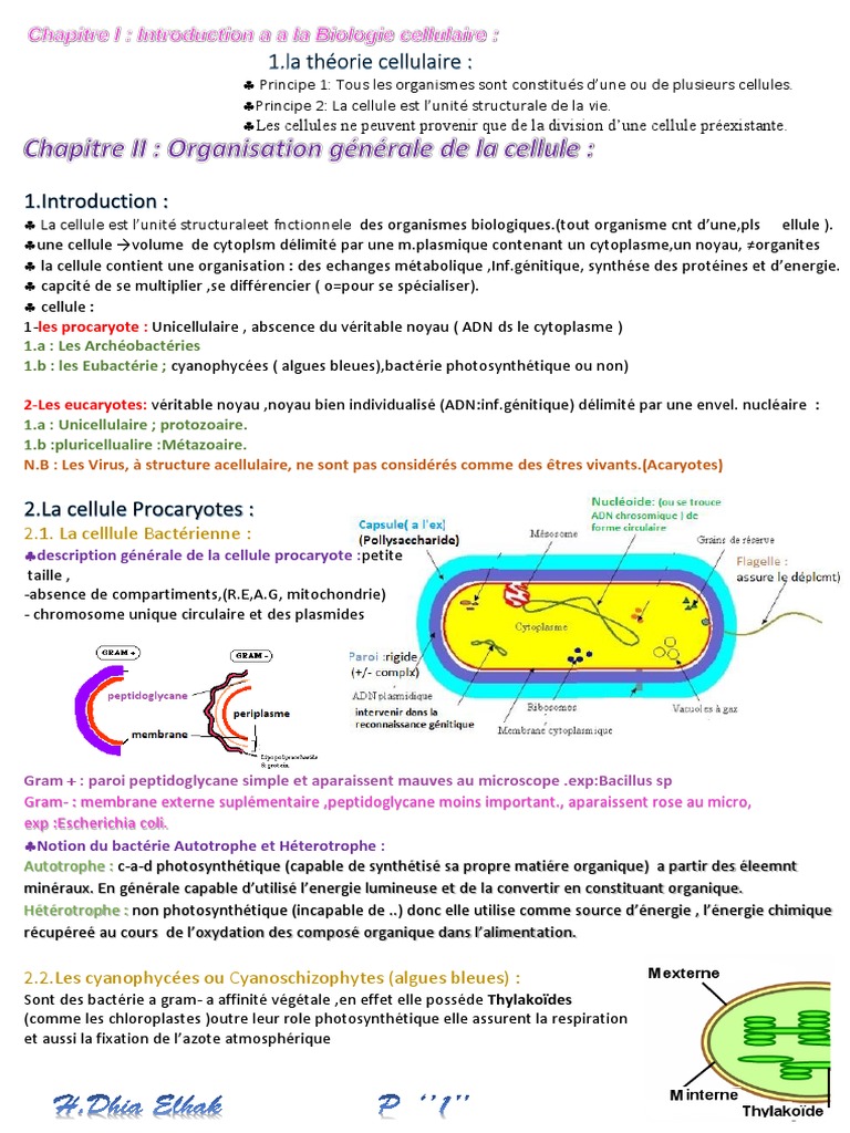 Svt 3eme L homme Face Aux Micro organismes Controle Pdf Bio Cell | PDF | Mitochondrie | Membrane cellulaire