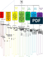 Mapa Coceptual TPM