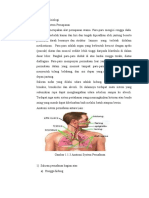 Anatomi Dan Fisiologi Pneumonia