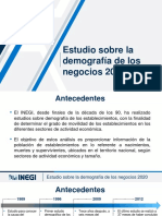 Presentación DR - CE Estudio Sobre La Demografia de Los Negocios