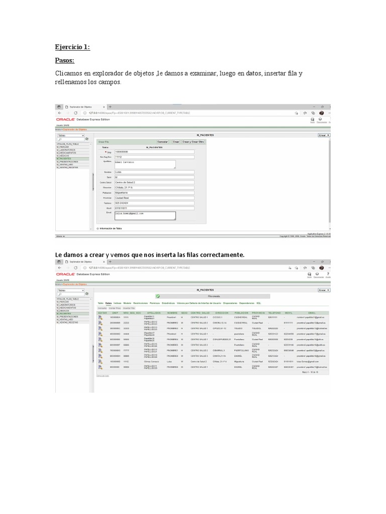 Ejercicios de SQL: Inserciones y Actualizaciones | PDF | SQL | Software
