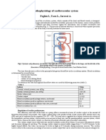 Pathophysiology of Cardiovascular System Feghiu I., Tacu L., Iarovoi A