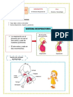 Sistema Respiratorio