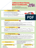Mycobacterium Tuberculosis