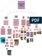 Mapa Conceptual