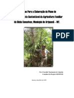 Subsídios para a Elaboração do Plano de Desenvolvimento Sustentável para Agricultura Familiar da Gleba Conselvan, município de Aripuanã - MT 