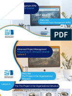 APM Organizational Structure Project Management