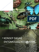 KONSEP ENTOMOLOGI