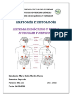 T7 Sistema Endócrino