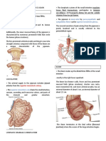 Repaso 5 ANATOMY JEJUNUM LJ ILEUM L0 COLON