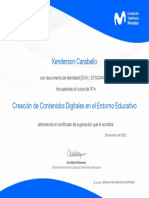 FT VE - Certificado