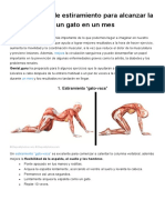 10 Ejercicios de Estiramiento para Alcanzar La Flexibilidad de Un Gato en Un Mes