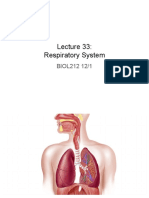 Respiratory System: BIOL212 12/1