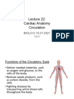 Cardiac Anatomy Circulation: BIOL212 10.27.2021 11/1