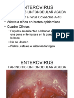 Enterovirus Manuela 2