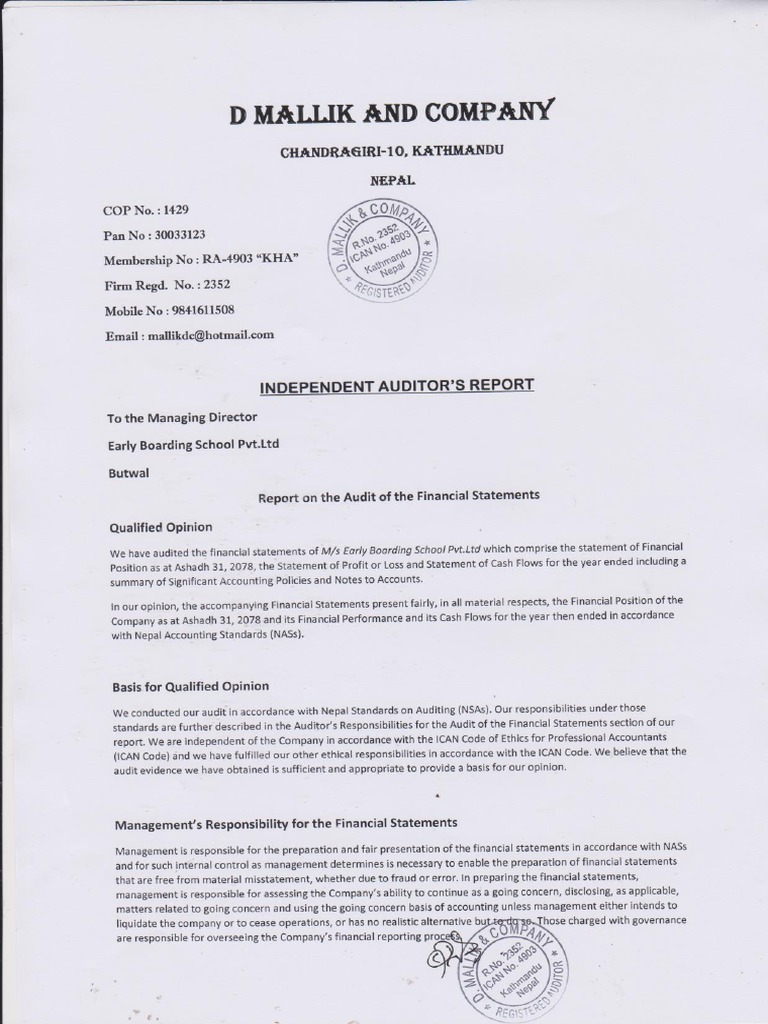 Auditor's Report | PDF