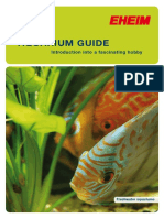 Aquarium Guide: Introduction Into A Fascinating Hobby