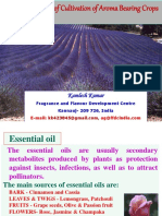 Prospects of Cultivation of Aromatic Crops