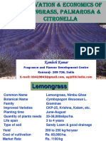 Lemon-Palma & Citronella (1)