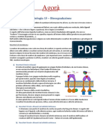 Citologia 15 - Biosegnalazione